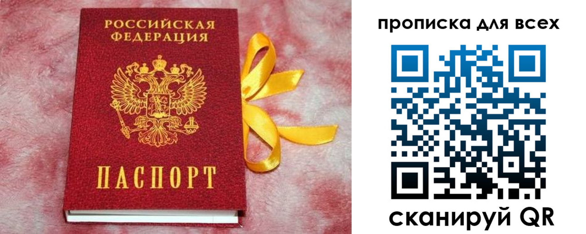 прописка для школы в Долгопрудном